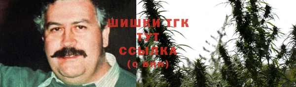 гидра Белоозёрский