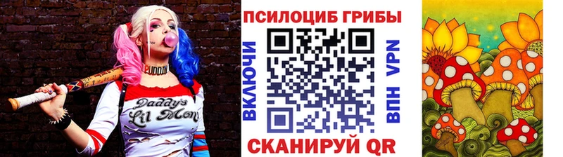 omg   Кущёвская  Псилоцибиновые грибы ЛСД 